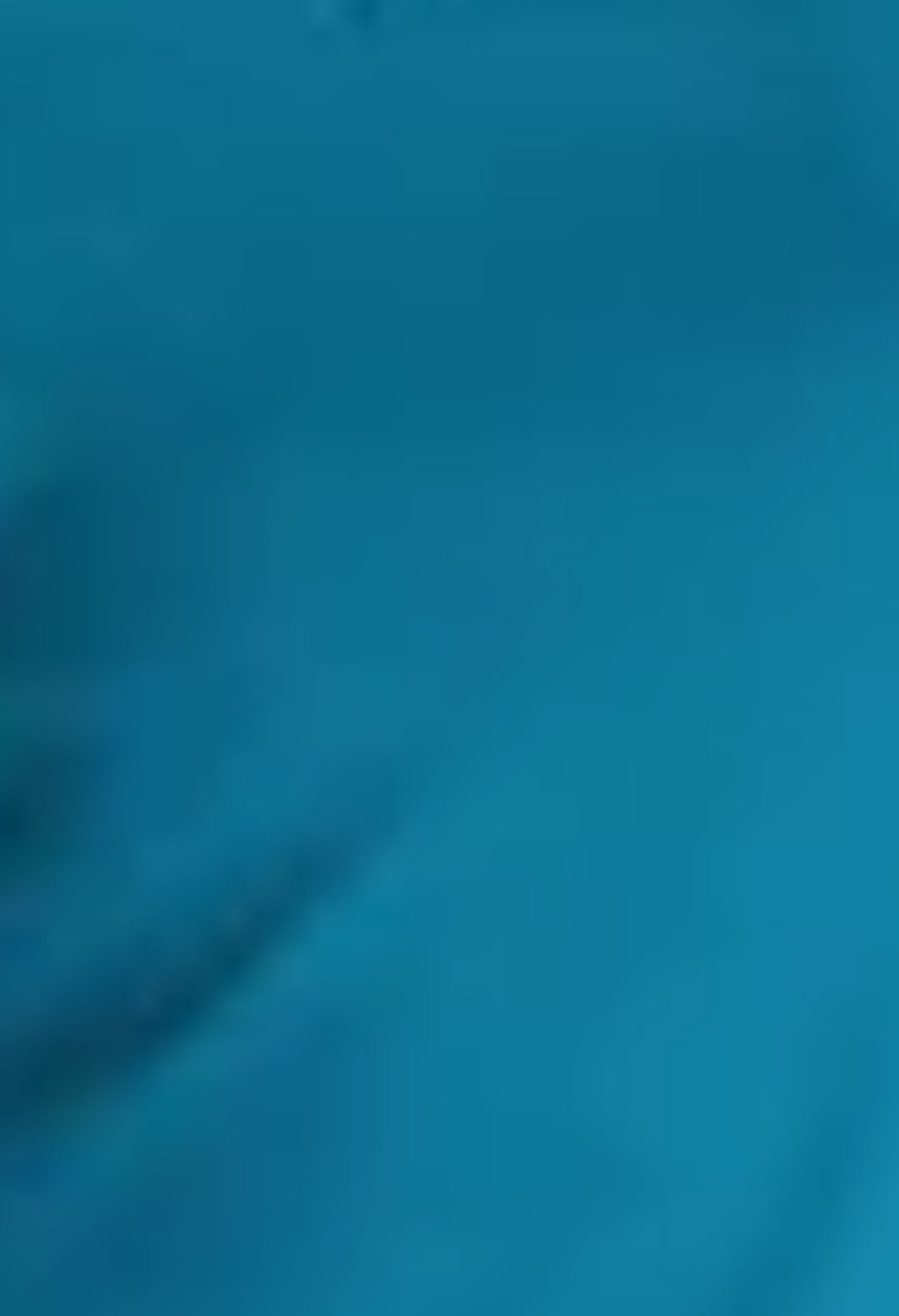 PSOS Fleur Full Zip Mid Layer Petrol Blue