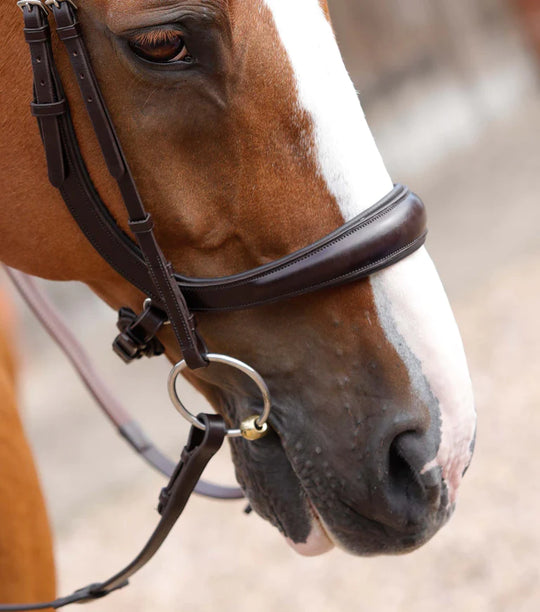 PE Lambro Anatomical Bridle with Crank Noseband