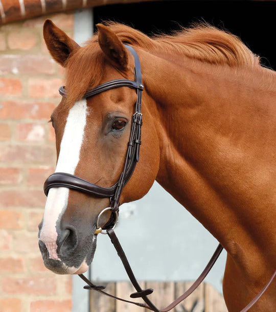 PE Lambro Anatomical Bridle with Crank Noseband