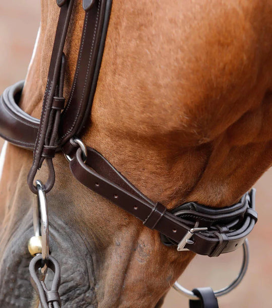 PE Lambro Anatomical Bridle with Crank Noseband