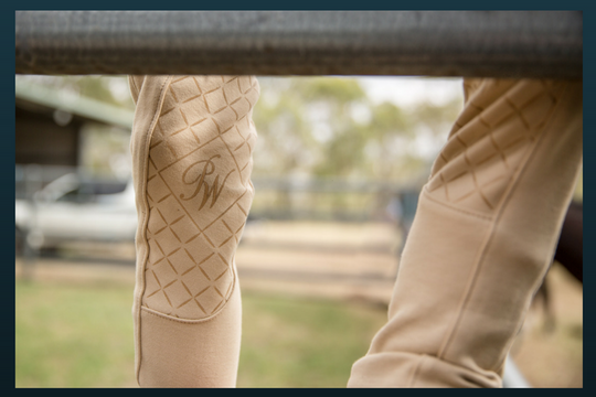 HB Horsewear, Saddle Pads, Tendon Boots, Horse Care