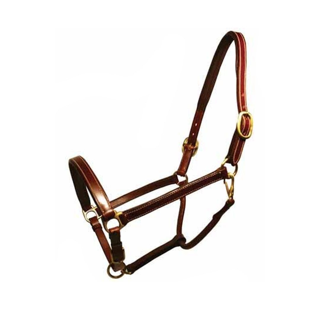 Champion Padded Leather Halter Head Collar