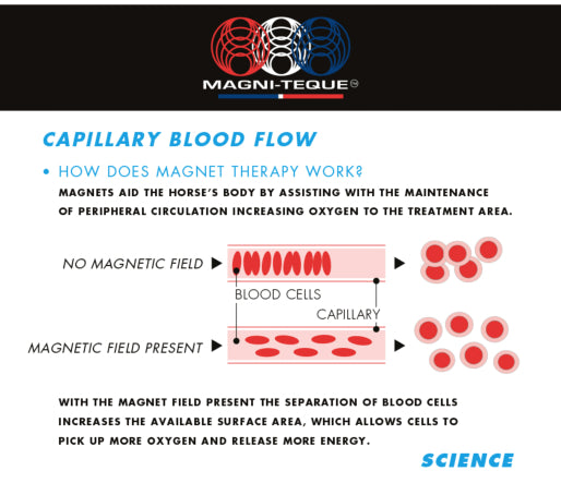 HB Horsewear, Saddle Pads, Tendon Boots, Horse Care