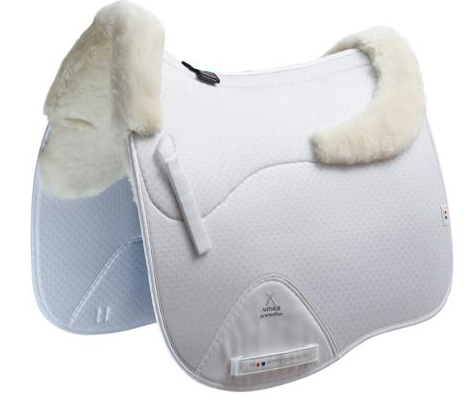 HB Horsewear, Saddle Pads, Tendon Boots, Horse Care