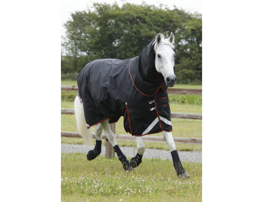 HB Horsewear, Saddle Pads, Tendon Boots, Horse Care