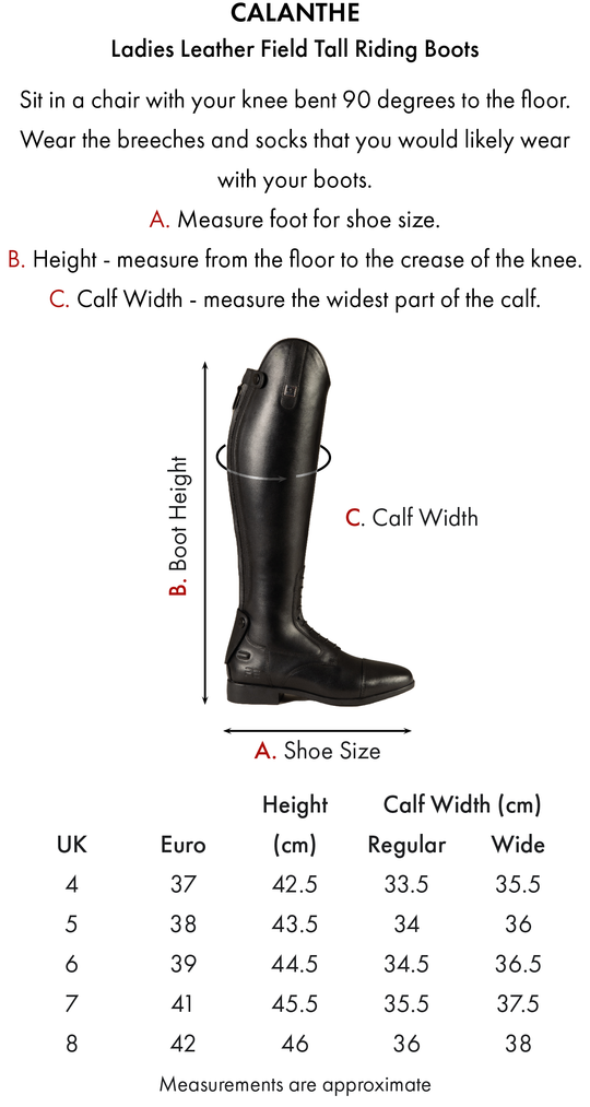 PE Calanthe Ladies Long Leather Field Tall Riding Boots Black