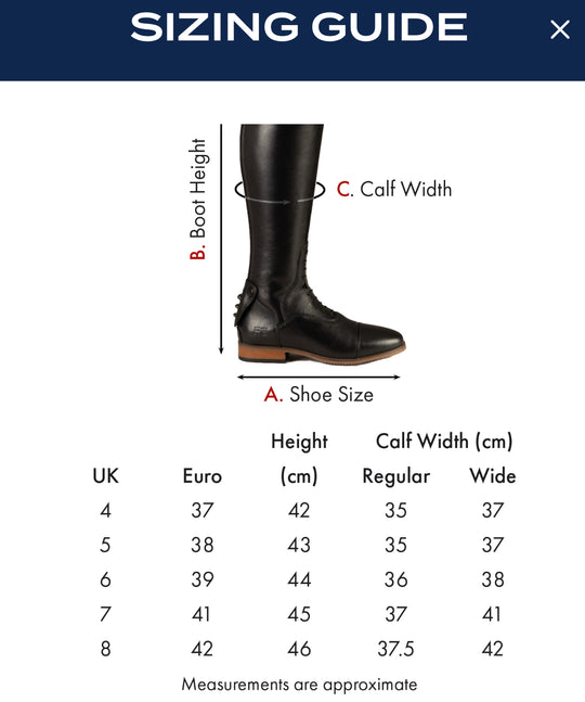 PE Bilancio Ladies Long Leather Field Tall Riding Boots Brown