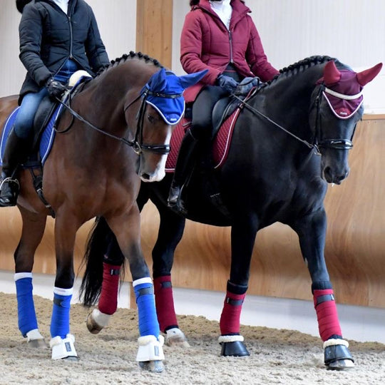 HB Horsewear, Saddle Pads, Tendon Boots, Horse Care