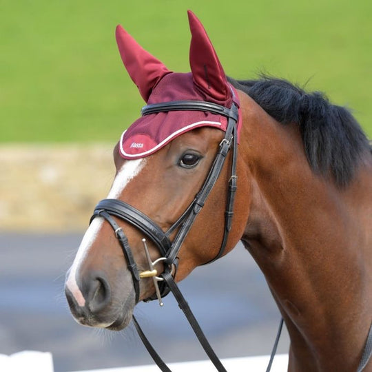 HB Horsewear, Saddle Pads, Tendon Boots, Horse Care