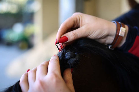 HB Horsewear, Saddle Pads, Tendon Boots, Horse Care