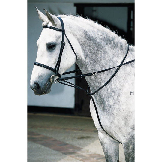 HB Horsewear, Saddle Pads, Tendon Boots, Horse Care