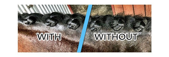 HB Horsewear, Saddle Pads, Tendon Boots, Horse Care