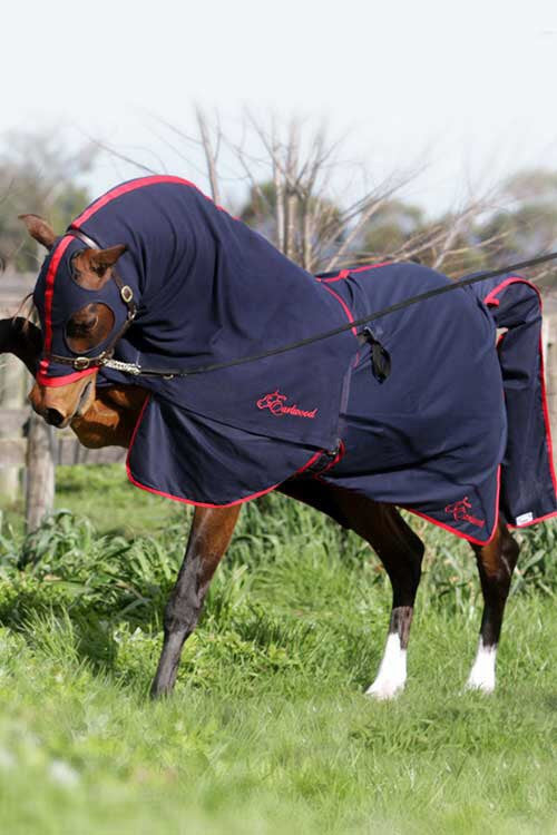 HB Horsewear, Saddle Pads, Tendon Boots, Horse Care