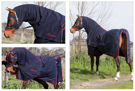 HB Horsewear, Saddle Pads, Tendon Boots, Horse Care