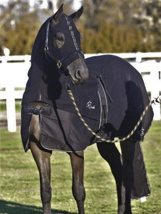 HB Horsewear, Saddle Pads, Tendon Boots, Horse Care