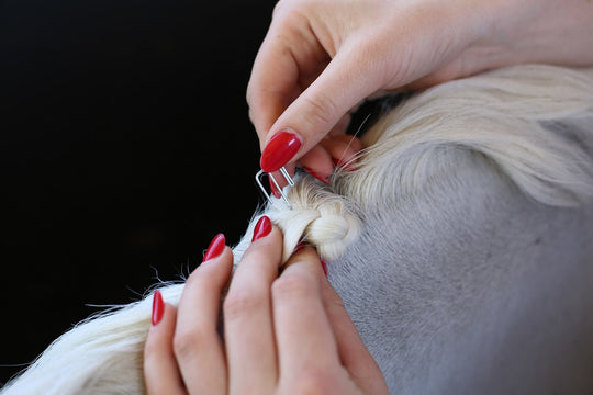 HB Horsewear, Saddle Pads, Tendon Boots, Horse Care