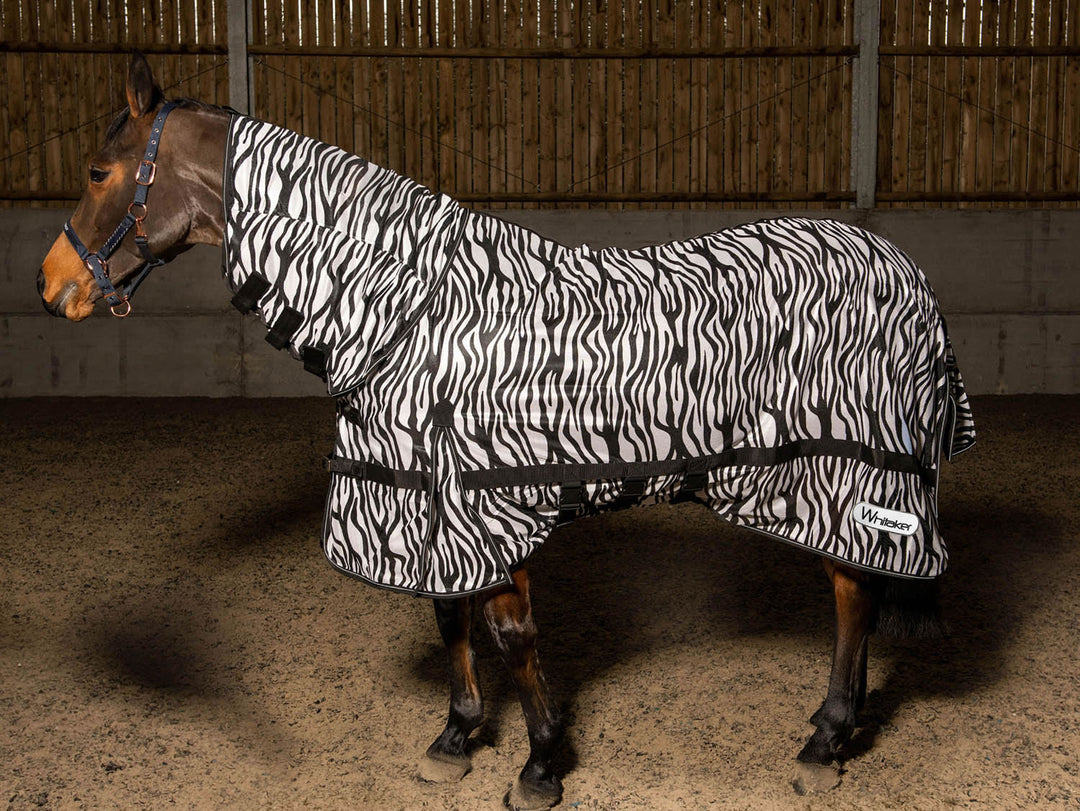 Whitaker Fly Repellent Mesh Rug Marwell Zebra