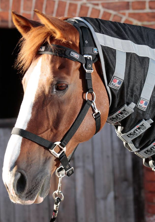 HB Horsewear, Saddle Pads, Tendon Boots, Horse Care