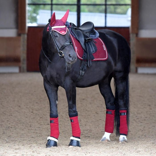 HB Horsewear, Saddle Pads, Tendon Boots, Horse Care