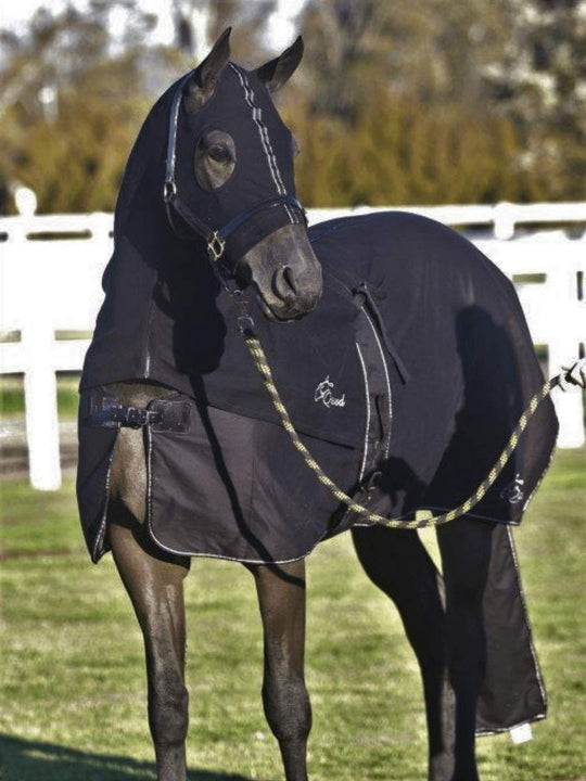 HB Horsewear, Saddle Pads, Tendon Boots, Horse Care