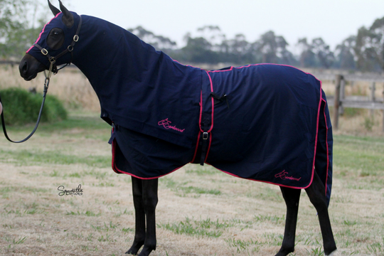 HB Horsewear, Saddle Pads, Tendon Boots, Horse Care