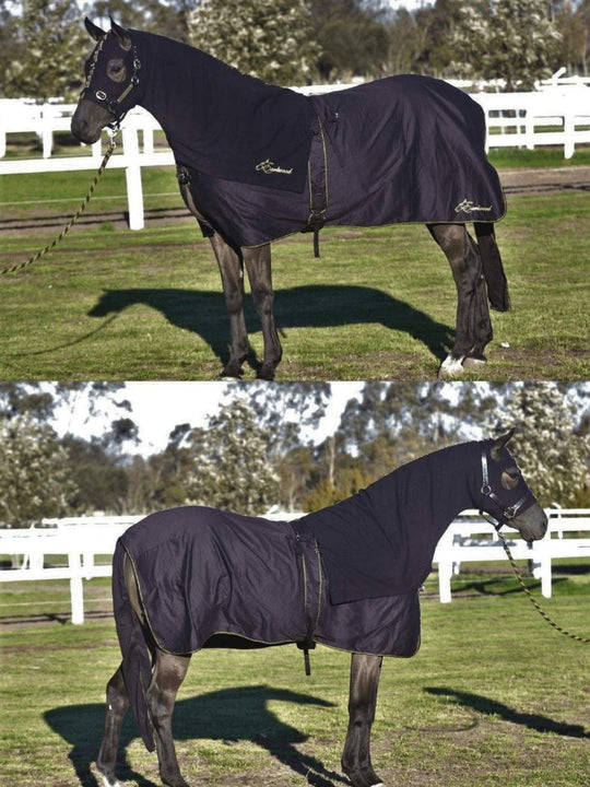 HB Horsewear, Saddle Pads, Tendon Boots, Horse Care