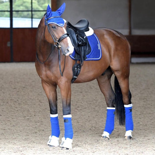 HB Horsewear, Saddle Pads, Tendon Boots, Horse Care