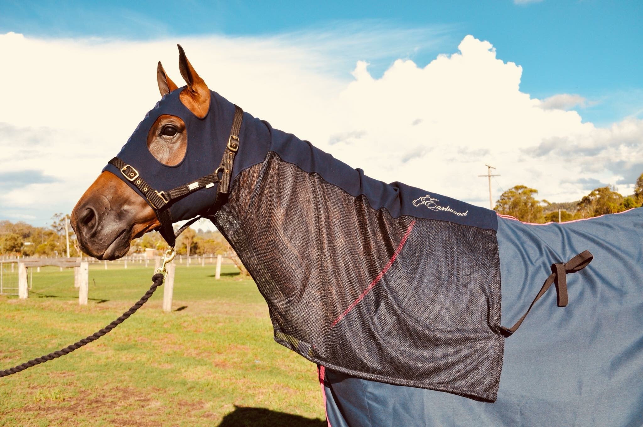 HB Horsewear, Saddle Pads, Tendon Boots, Horse Care