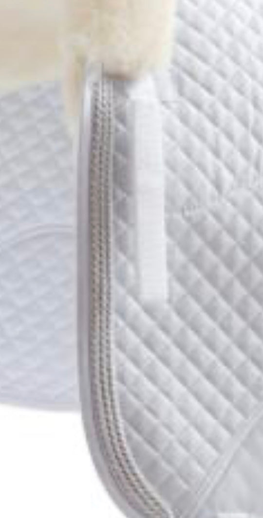 HB Horsewear, Saddle Pads, Tendon Boots, Horse Care