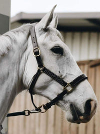 Kentaur Leather Halter With Stitching