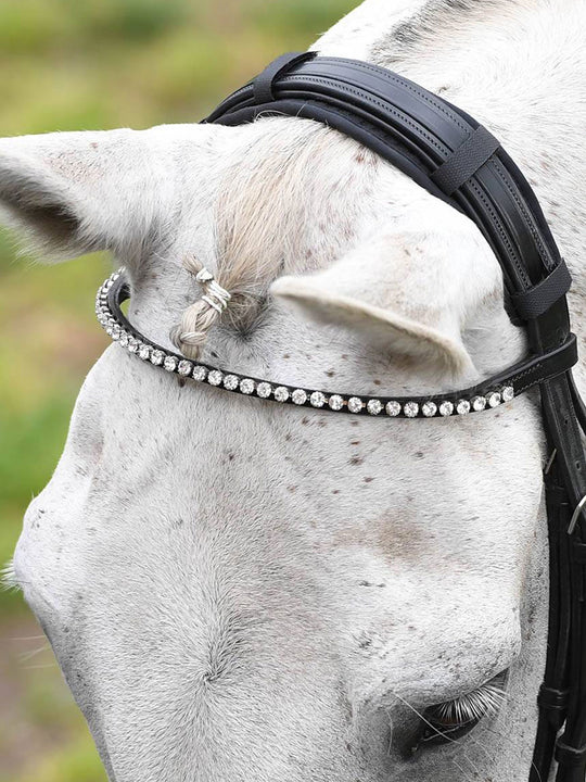 Protechmasta Competition Infrared Poll Pad