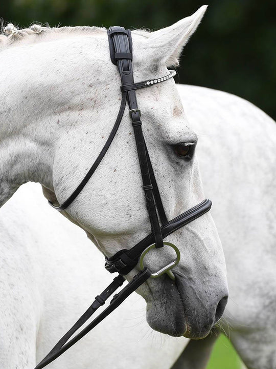 Protechmasta Competition Infrared Poll Pad