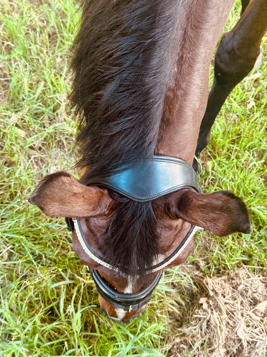 NEW Hoof EQ Grace Ergonomic Snaffle Bridle