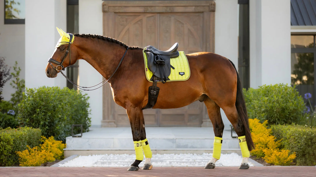 Le Mieux Loire Classic Dressage Square