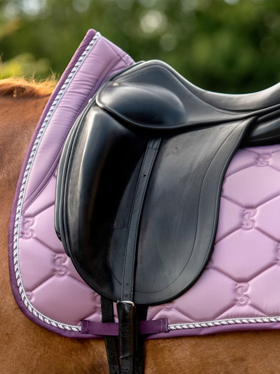 PSOS Dressage Saddle Pad Signature Purple Grape