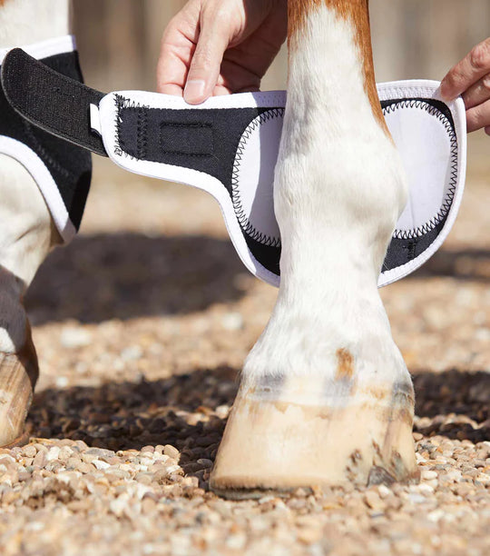 PE Magnetic Fetlock Boots