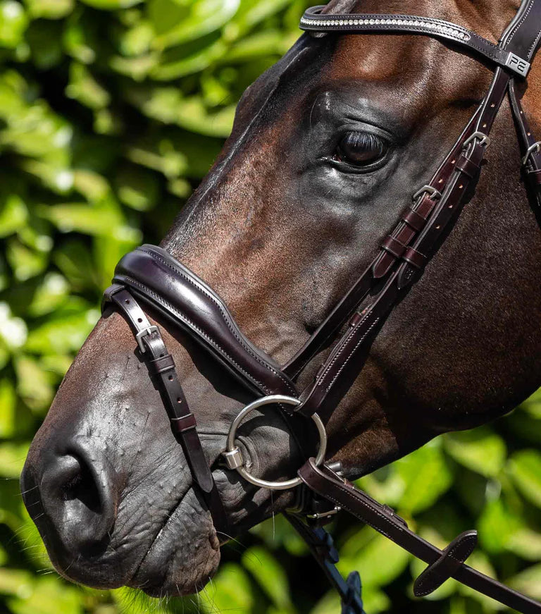 PE Bridle Cheek Pieces