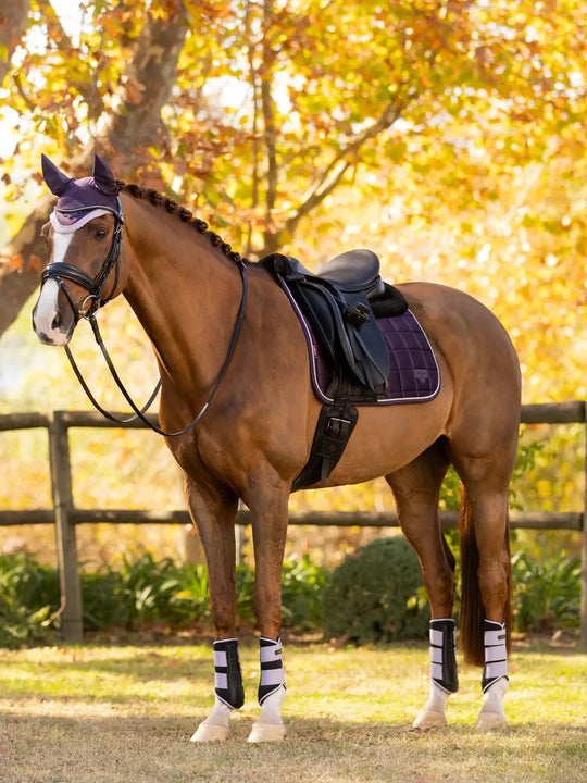 Merino Loire Classic Dressage Square Juniper