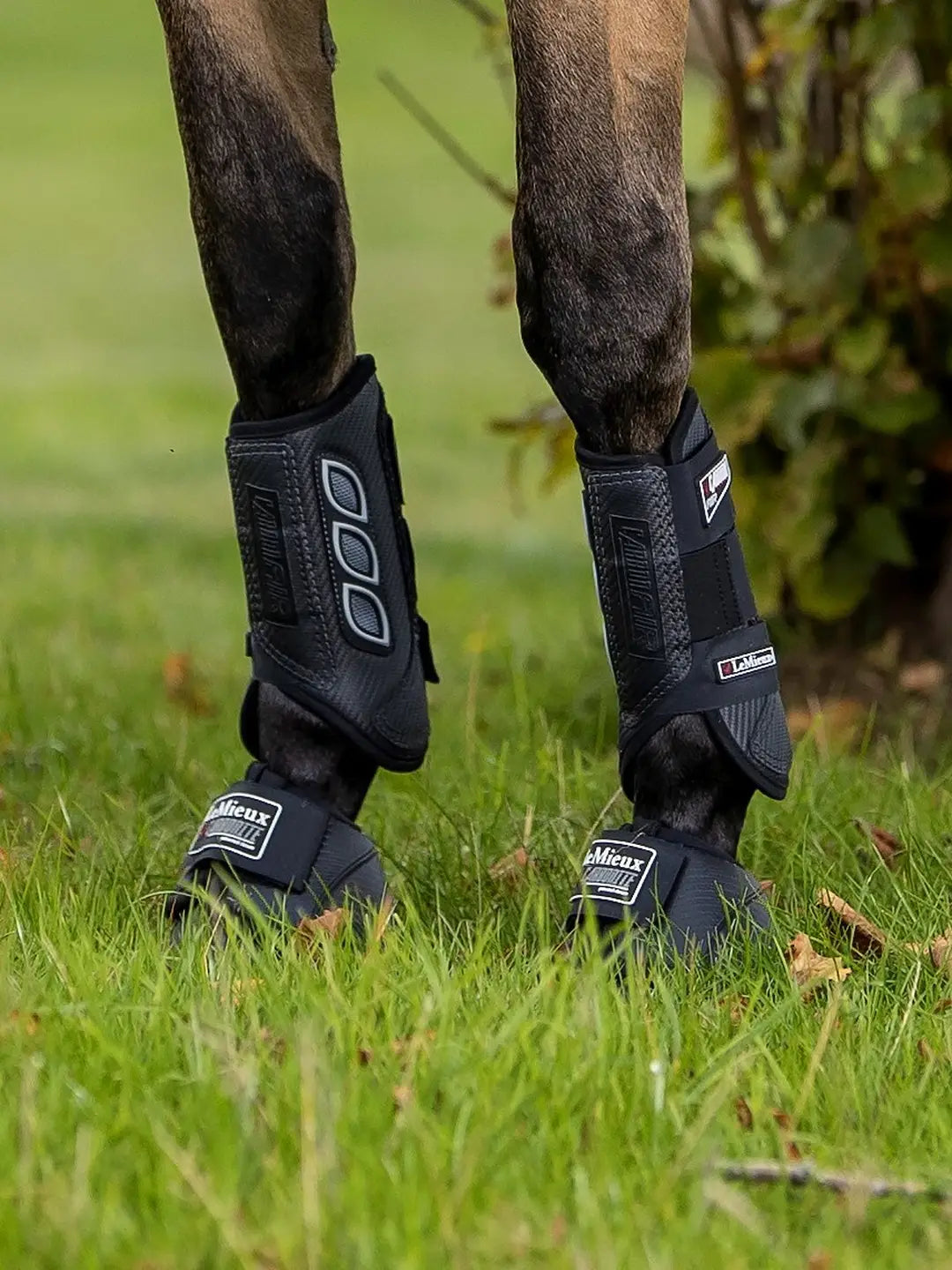 Le Mieux Carbon Air XC Front and hind Black