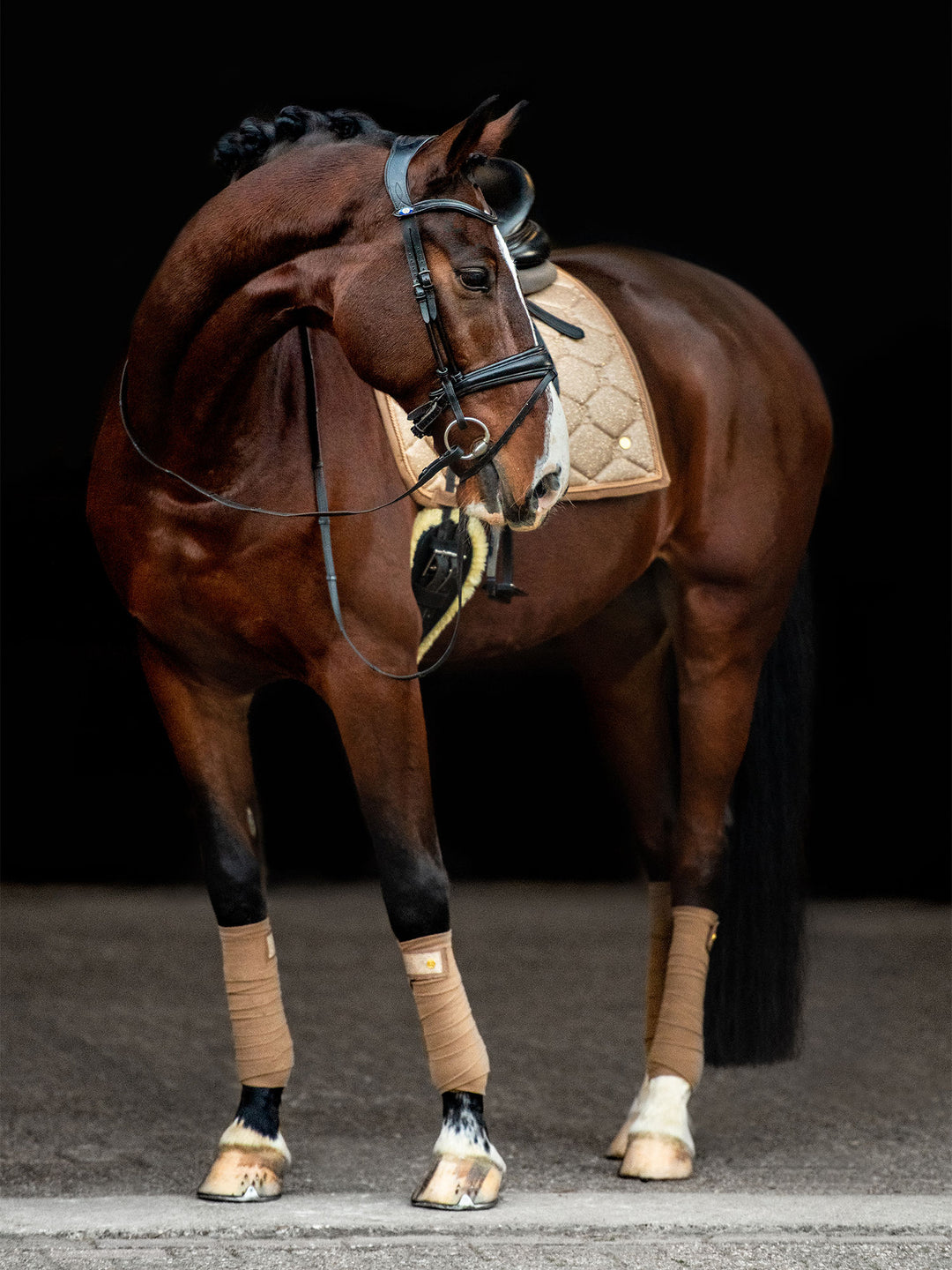 Chaussettes équitation PS of Sweden Sky PS OF SWEDEN | Decathlon Chaussettes équitation PS of Sweden Sky PS OF SWEDEN | Decathlon