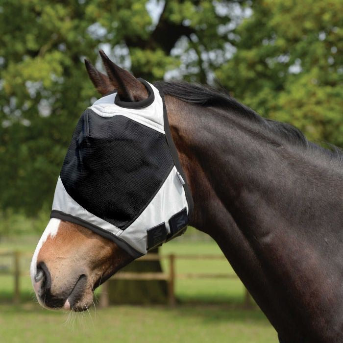 HB Horsewear, Saddle Pads, Tendon Boots, Horse Care 